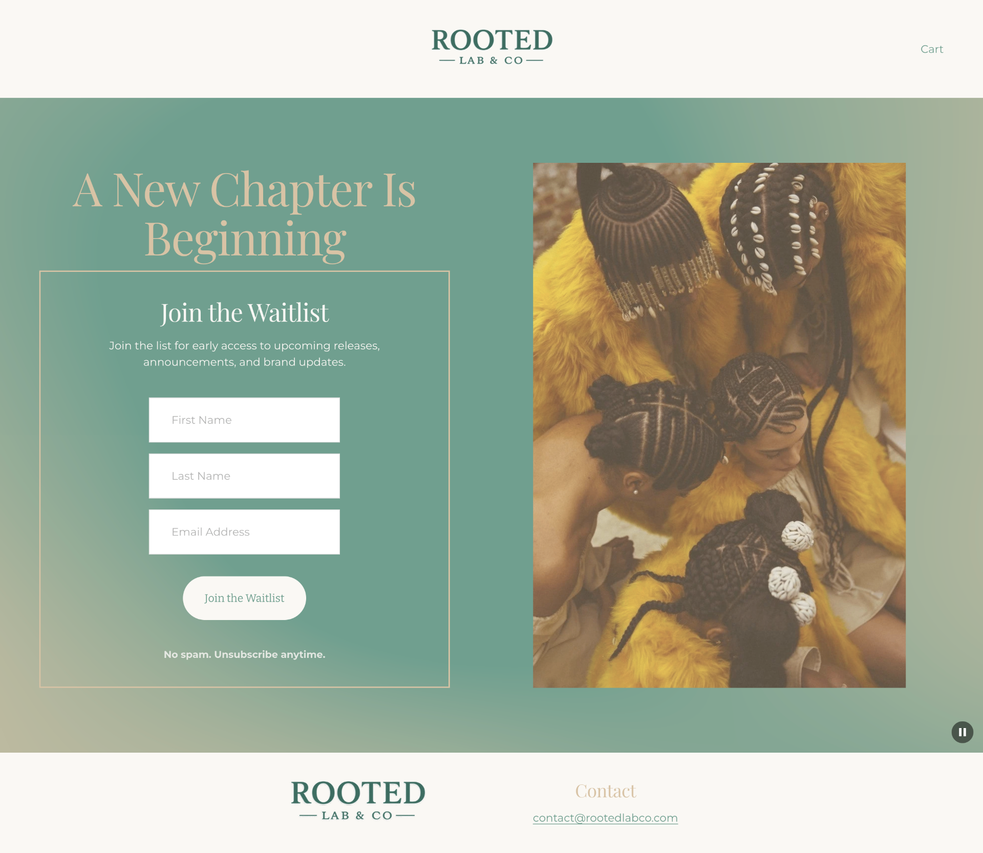 Original waitlist landing page — desktop